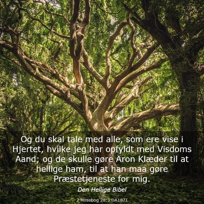 Picture 03 - 2 Mosebog 28:3 DA1871 - Og du skal tale med alle, som ere vise i Hjertet, - Bible Verse Picture
