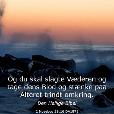 Picture 03 - 2 Mosebog 29:16 DA1871 - Og du skal slagte Væderen og tage dens Blod og - Bible Verse Picture