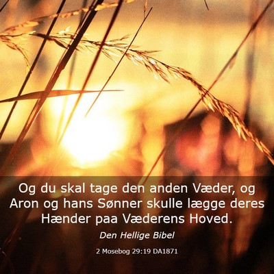 Picture 03 - 2 Mosebog 29:19 DA1871 - Og du skal tage den anden Væder, og Aron og hans - Bible Verse Picture