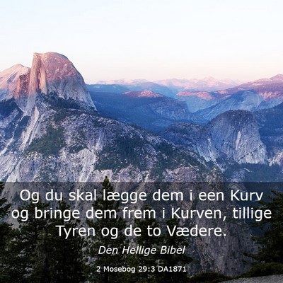 Picture 03 - 2 Mosebog 29:3 DA1871 - Og du skal lægge dem i een Kurv og bringe dem - Bible Verse Picture