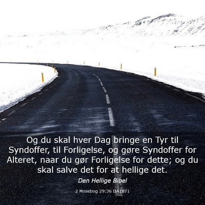 Picture 03 - 2 Mosebog 29:36 DA1871 - Og du skal hver Dag bringe en Tyr til Syndoffer, - Bible Verse Picture