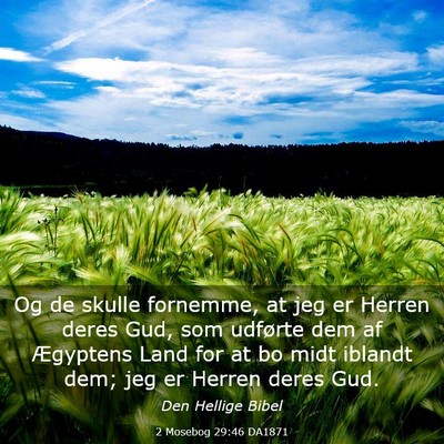 Picture 03 - 2 Mosebog 29:46 DA1871 - Og de skulle fornemme, at jeg er Herren deres - Bible Verse Picture
