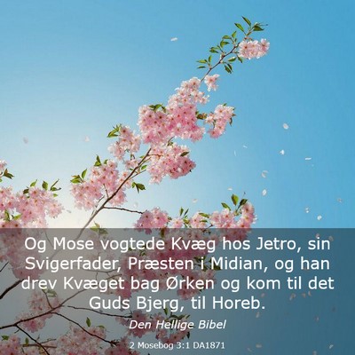 Picture 03 - 2 Mosebog 3:1 DA1871 - Og Mose vogtede Kvæg hos Jetro, sin Svigerfader, - Bible Verse Picture