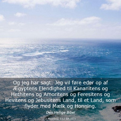 Picture 03 - 2 Mosebog 3:17 DA1871 - Og jeg har sagt: Jeg vil føre eder op af - Bible Verse Picture