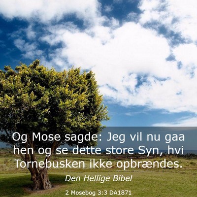 Picture 03 - 2 Mosebog 3:3 DA1871 - Og Mose sagde: Jeg vil nu gaa hen og se dette - Bible Verse Picture