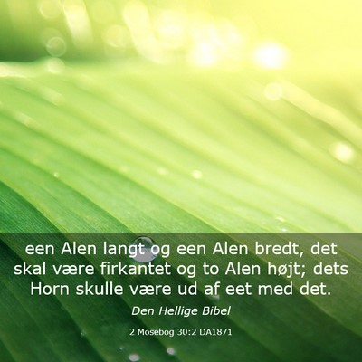 Picture 03 - 2 Mosebog 30:2 DA1871 - een Alen langt og een Alen bredt, det skal være - Bible Verse Picture