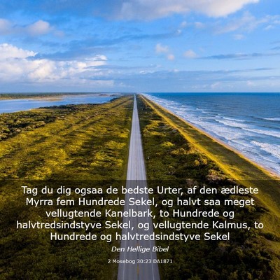 Picture 03 - 2 Mosebog 30:23 DA1871 - Tag du dig ogsaa de bedste Urter, af den ædleste - Bible Verse Picture