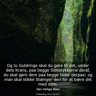 Picture 03 - 2 Mosebog 30:4 DA1871 - Og to Guldringe skal du gøre til det, under dets - Bible Verse Picture