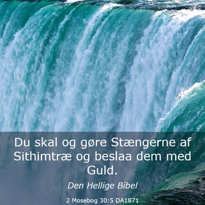 Picture 03 - 2 Mosebog 30:5 DA1871 - Du skal og gøre Stængerne af Sithimtræ og - Bible Verse Picture