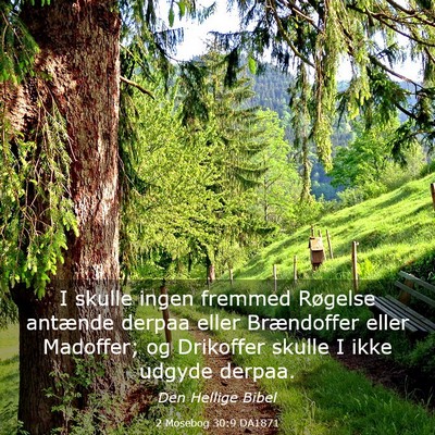 Picture 03 - 2 Mosebog 30:9 DA1871 - I skulle ingen fremmed Røgelse antænde derpaa - Bible Verse Picture