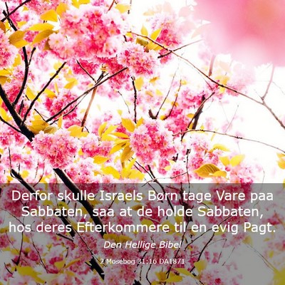 Picture 03 - 2 Mosebog 31:16 DA1871 - Derfor skulle Israels Børn tage Vare paa - Bible Verse Picture