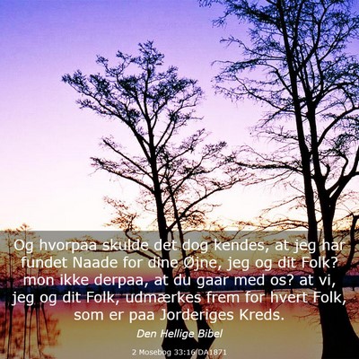 Picture 03 - 2 Mosebog 33:16 DA1871 - Og hvorpaa skulde det dog kendes, at jeg har - Bible Verse Picture