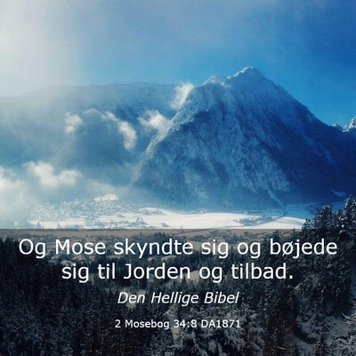 Picture 03 - 2 Mosebog 34:8 DA1871 - Og Mose skyndte sig og bøjede sig til Jorden og - Bible Verse Picture