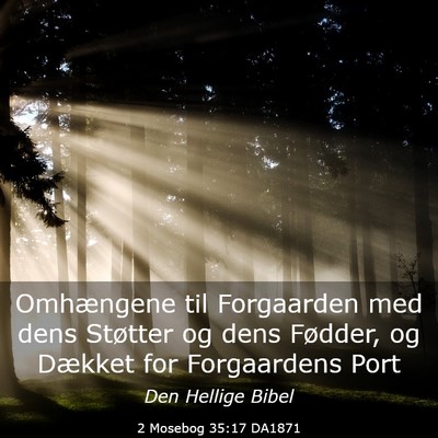 Picture 03 - 2 Mosebog 35:17 DA1871 - Omhængene til Forgaarden med dens Støtter og - Bible Verse Picture