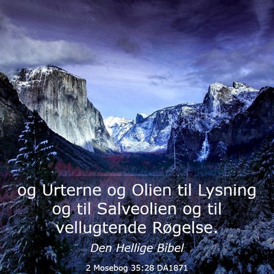 Picture 03 - 2 Mosebog 35:28 DA1871 - og Urterne og Olien til Lysning og til Salveolien - Bible Verse Picture