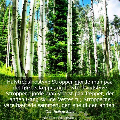 Picture 03 - 2 Mosebog 36:12 DA1871 - Halvtredsindstyve Stropper gjorde man paa det - Bible Verse Picture