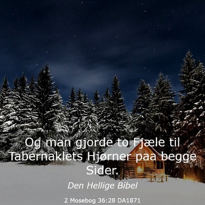 Picture 03 - 2 Mosebog 36:28 DA1871 - Og man gjorde to Fjæle til Tabernaklets Hjørner - Bible Verse Picture