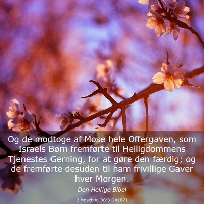 Picture 03 - 2 Mosebog 36:3 DA1871 - Og de modtoge af Mose hele Offergaven, som - Bible Verse Picture