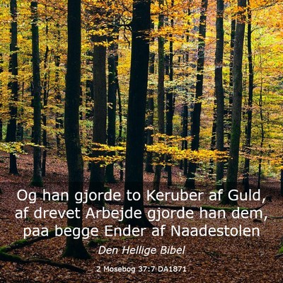 Picture 03 - 2 Mosebog 37:7 DA1871 - Og han gjorde to Keruber af Guld, af drevet - Bible Verse Picture