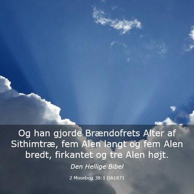 Picture 03 - 2 Mosebog 38:1 DA1871 - Og han gjorde Brændofrets Alter af Sithimtræ, - Bible Verse Picture