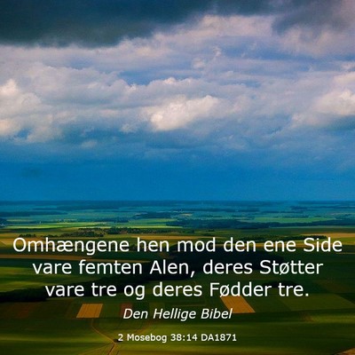 Picture 03 - 2 Mosebog 38:14 DA1871 - Omhængene hen mod den ene Side vare femten Alen, - Bible Verse Picture