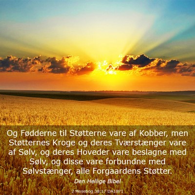 Picture 03 - 2 Mosebog 38:17 DA1871 - Og Fødderne til Støtterne vare af Kobber, men - Bible Verse Picture