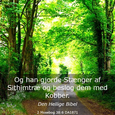 Picture 03 - 2 Mosebog 38:6 DA1871 - Og han gjorde Stænger af Sithimtræ og beslog - Bible Verse Picture