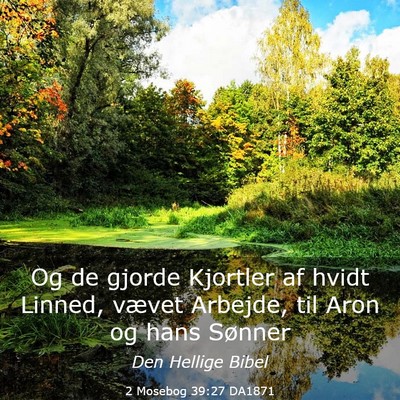 Picture 03 - 2 Mosebog 39:27 DA1871 - Og de gjorde Kjortler af hvidt Linned, vævet - Bible Verse Picture