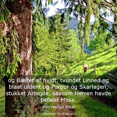 Picture 03 - 2 Mosebog 39:29 DA1871 - og Bæltet af hvidt, tvundet Linned og blaat - Bible Verse Picture