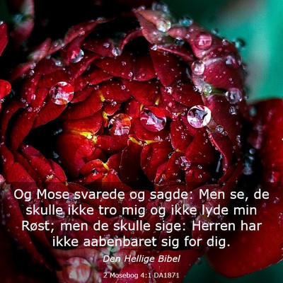 Picture 03 - 2 Mosebog 4:1 DA1871 - Og Mose svarede og sagde: Men se, de skulle ikke - Bible Verse Picture