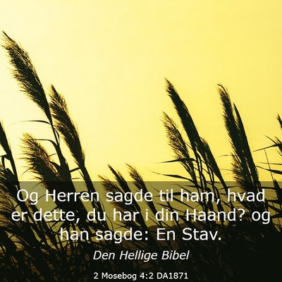 Picture 03 - 2 Mosebog 4:2 DA1871 - Og Herren sagde til ham, hvad er dette, du har i - Bible Verse Picture