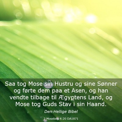 Picture 03 - 2 Mosebog 4:20 DA1871 - Saa tog Mose sin Hustru og sine Sønner og førte - Bible Verse Picture
