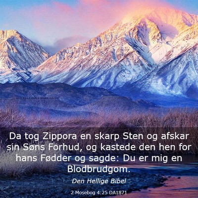 Picture 03 - 2 Mosebog 4:25 DA1871 - Da tog Zippora en skarp Sten og afskar sin Søns - Bible Verse Picture
