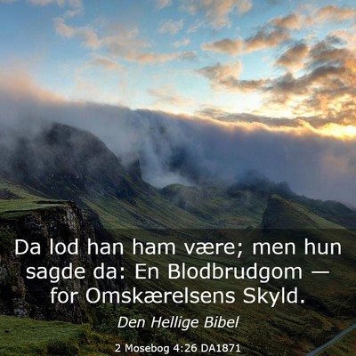 Picture 03 - 2 Mosebog 4:26 DA1871 - Da lod han ham være; men hun sagde da: En - Bible Verse Picture