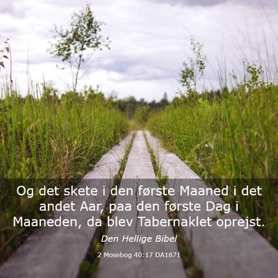 Picture 03 - 2 Mosebog 40:17 DA1871 - Og det skete i den første Maaned i det andet - Bible Verse Picture