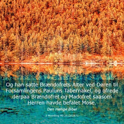 Picture 03 - 2 Mosebog 40:29 DA1871 - Og han satte Brændofrets Alter ved Døren til - Bible Verse Picture