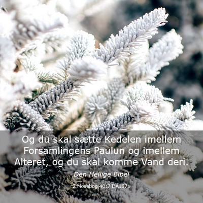 Picture 03 - 2 Mosebog 40:7 DA1871 - Og du skal sætte Kedelen imellem Forsamlingens - Bible Verse Picture