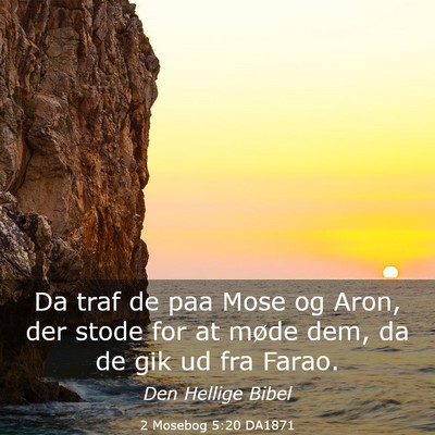 Picture 03 - 2 Mosebog 5:20 DA1871 - Da traf de paa Mose og Aron, der stode for at - Bible Verse Picture