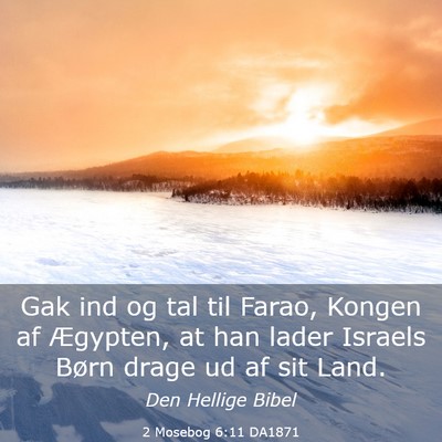 Picture 03 - 2 Mosebog 6:11 DA1871 - Gak ind og tal til Farao, Kongen af Ægypten, at - Bible Verse Picture