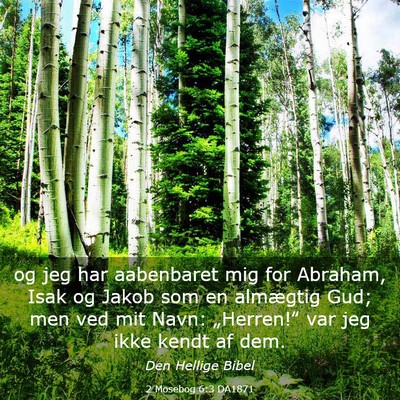 Picture 03 - 2 Mosebog 6:3 DA1871 - og jeg har aabenbaret mig for Abraham, Isak og - Bible Verse Picture