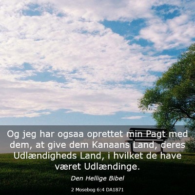 Picture 03 - 2 Mosebog 6:4 DA1871 - Og jeg har ogsaa oprettet min Pagt med dem, at - Bible Verse Picture
