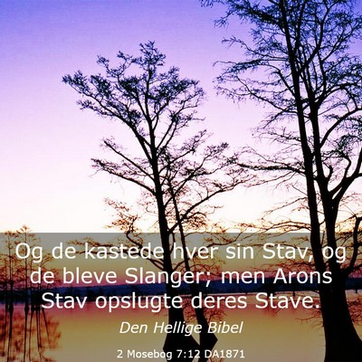 Picture 03 - 2 Mosebog 7:12 DA1871 - Og de kastede hver sin Stav, og de bleve Slanger; - Bible Verse Picture