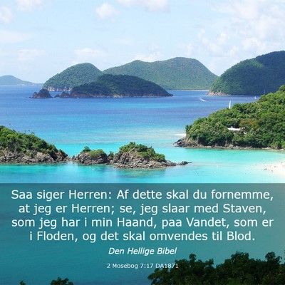 Picture 03 - 2 Mosebog 7:17 DA1871 - Saa siger Herren: Af dette skal du fornemme, at - Bible Verse Picture