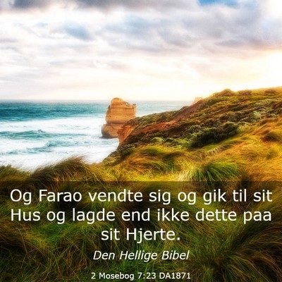 Picture 03 - 2 Mosebog 7:23 DA1871 - Og Farao vendte sig og gik til sit Hus og lagde - Bible Verse Picture