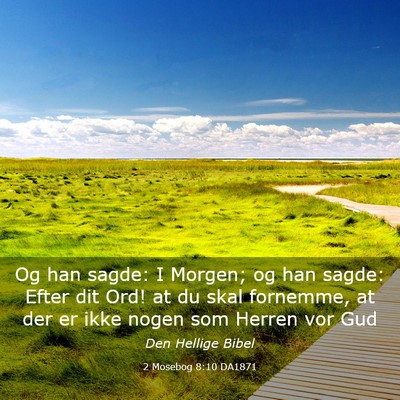 Picture 03 - 2 Mosebog 8:10 DA1871 - Og han sagde: I Morgen; og han sagde: Efter dit - Bible Verse Picture