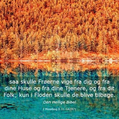 Picture 03 - 2 Mosebog 8:11 DA1871 - saa skulle Frøerne vige fra dig og fra dine Huse - Bible Verse Picture