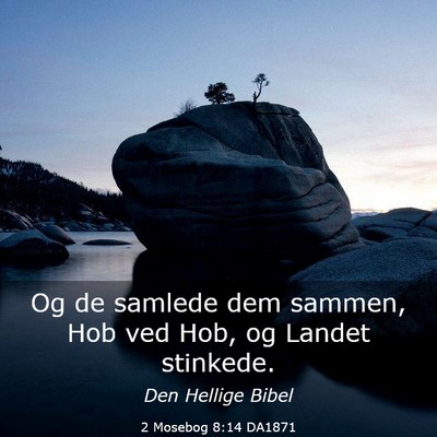 Picture 03 - 2 Mosebog 8:14 DA1871 - Og de samlede dem sammen, Hob ved Hob, og Landet - Bible Verse Picture