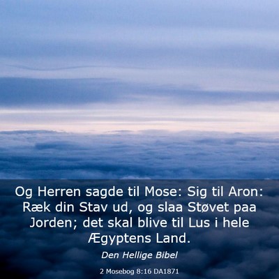 Picture 03 - 2 Mosebog 8:16 DA1871 - Og Herren sagde til Mose: Sig til Aron: Ræk din - Bible Verse Picture