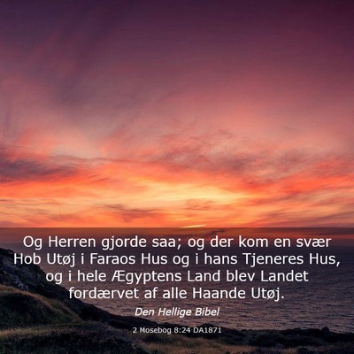 Picture 03 - 2 Mosebog 8:24 DA1871 - Og Herren gjorde saa; og der kom en svær Hob - Bible Verse Picture