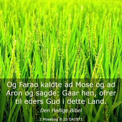 Picture 03 - 2 Mosebog 8:25 DA1871 - Og Farao kaldte ad Mose og ad Aron og sagde: Gaar - Bible Verse Picture